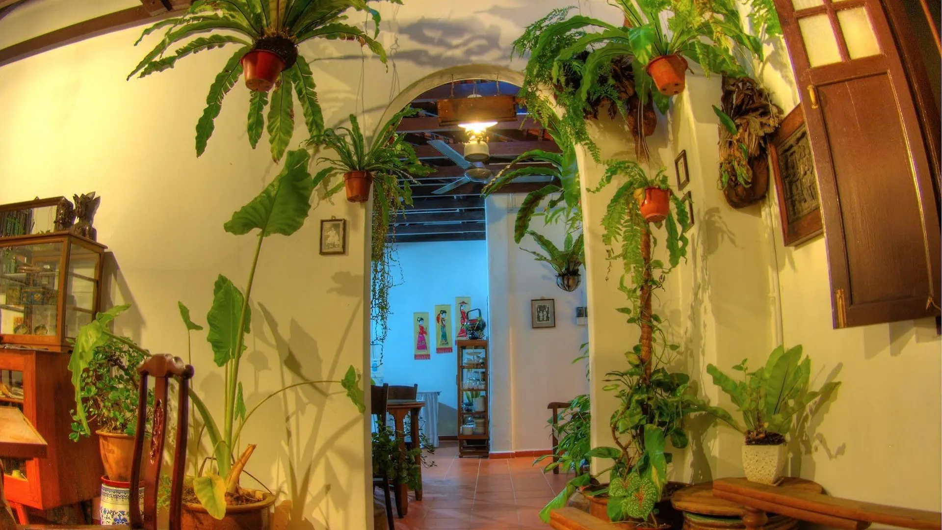 Cyclamen Cottage Malacca