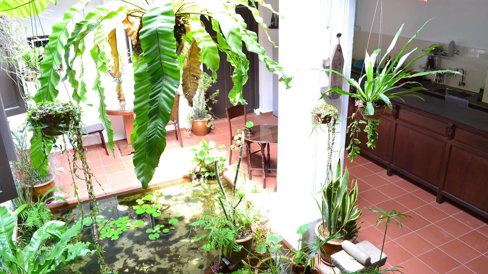 Cyclamen Cottage Melaka Hotel